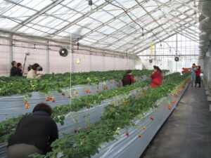 北海道テレビ放送 イチモニ で放送されました 株式会社スパル建設